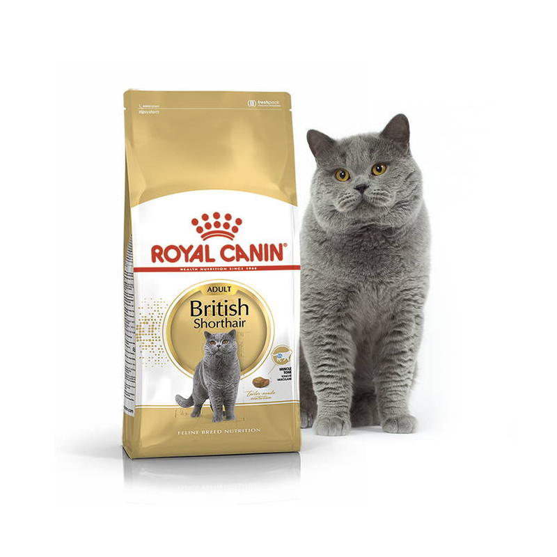 Royal Canin (Роял Канин) British Shorthair Adult - Сухой корм с птицей для взрослых Британских короткошерстных кошек