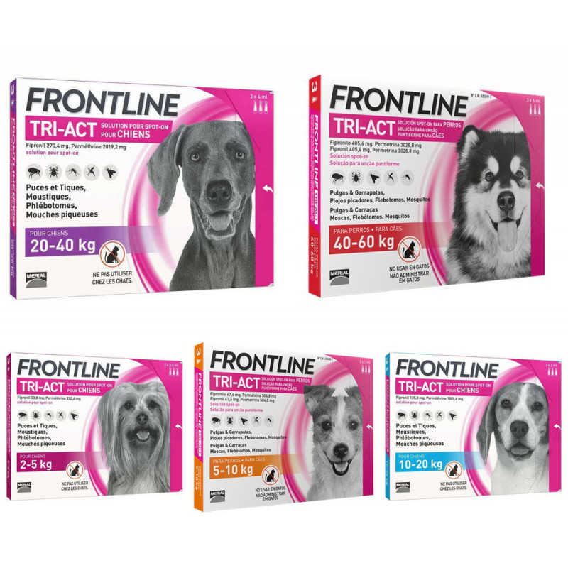 Frontline Tri-Act (Фронтлайн Три-Акт) by Merial. Противопаразитарный препарат от блох, вшей, клещей и комаров для собак