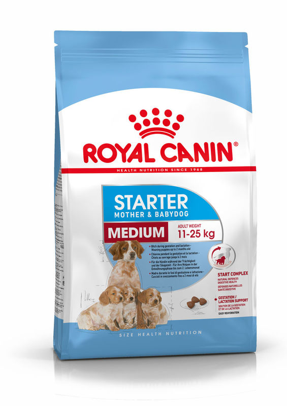 Royal Canin (Роял Канин) Medium Starter Mother & Babydog - Сухой корм для самок и щенков до 2-х месяцев