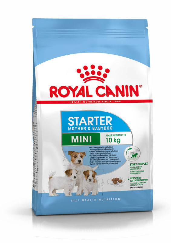 Royal Canin (Роял Канин) Mini Starter Mother & Babydog - Сухой корм для щенков до 2-х месяцев